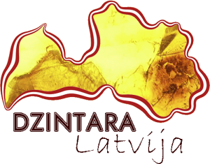 Dzintara Latvija - Blogs